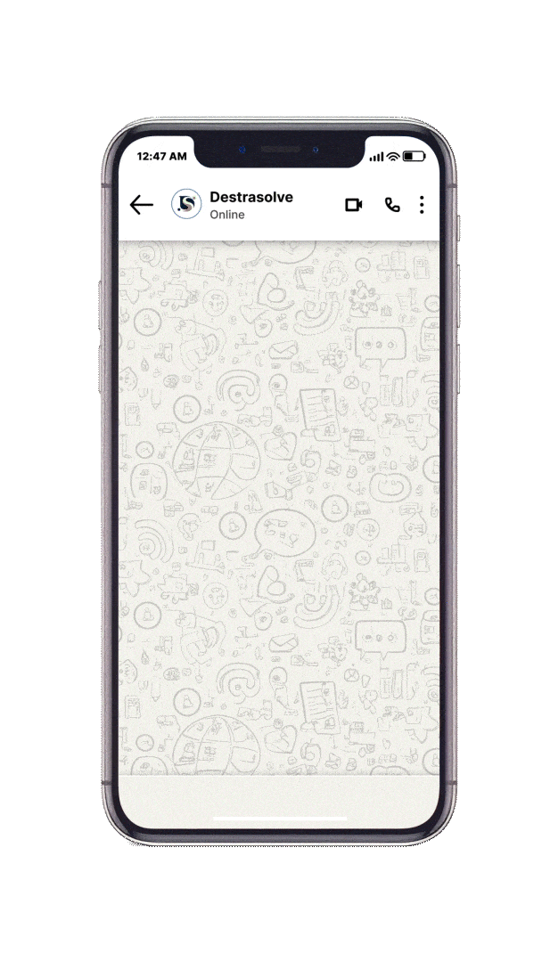 WhatsApp funnel demo preview